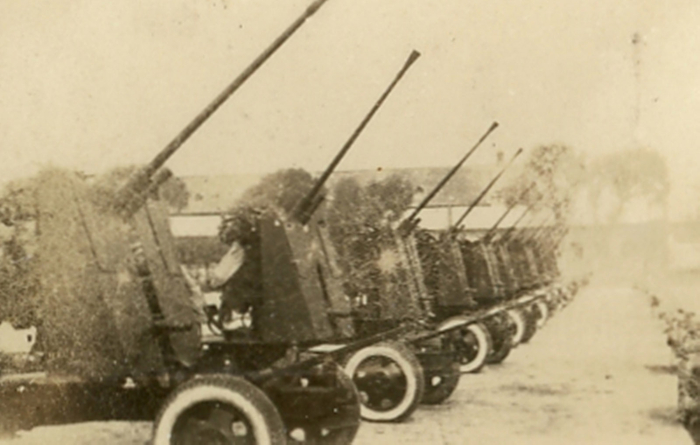 1950年八一建军节。王达理 图