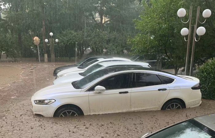 （图片由受访者提供）