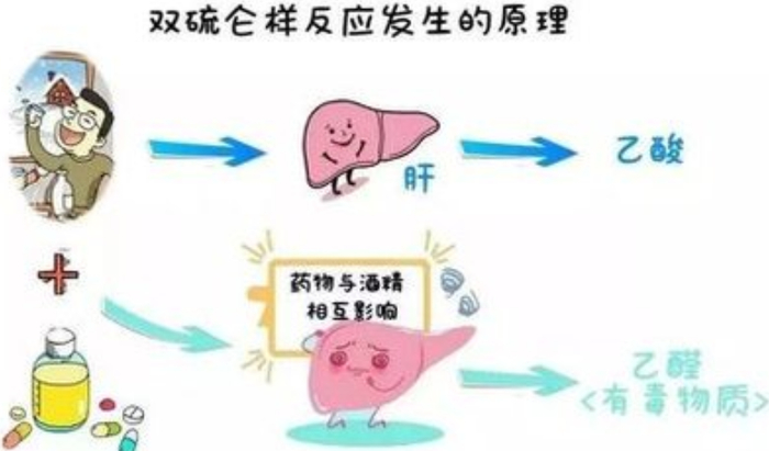 “头孢配酒,说走就走”?从机制到治疗,一文详解双硫仑样反应|喝酒|饮酒|乙醛脱氢酶|乙醛|乙醇_新浪新闻