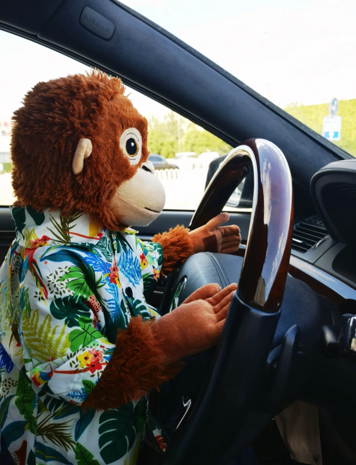 （图/小红书@苏丽珍，已获授权）