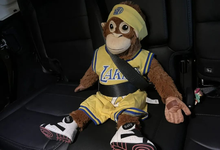 （图/小红书@yuen雀子，已获授权）