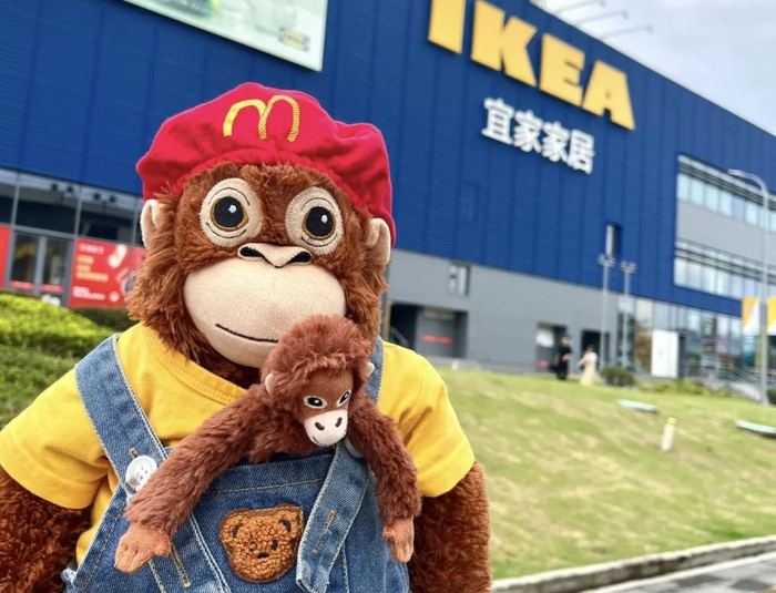 （图/小红书@别偷我烊，已获授权）