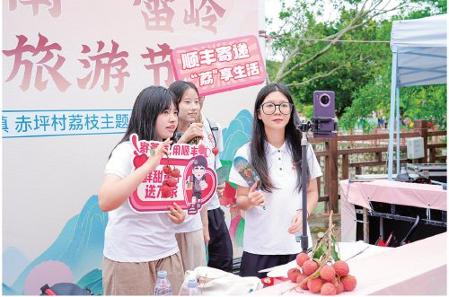 　　6月，十万电商卖广东荔枝活动接连举办，助力广东荔枝线上销售。　资料图