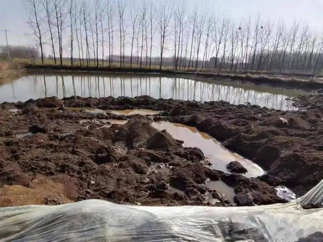 这个地方两个鱼塘内填埋了大量工业污泥|生态环境|沭阳_新浪新闻
