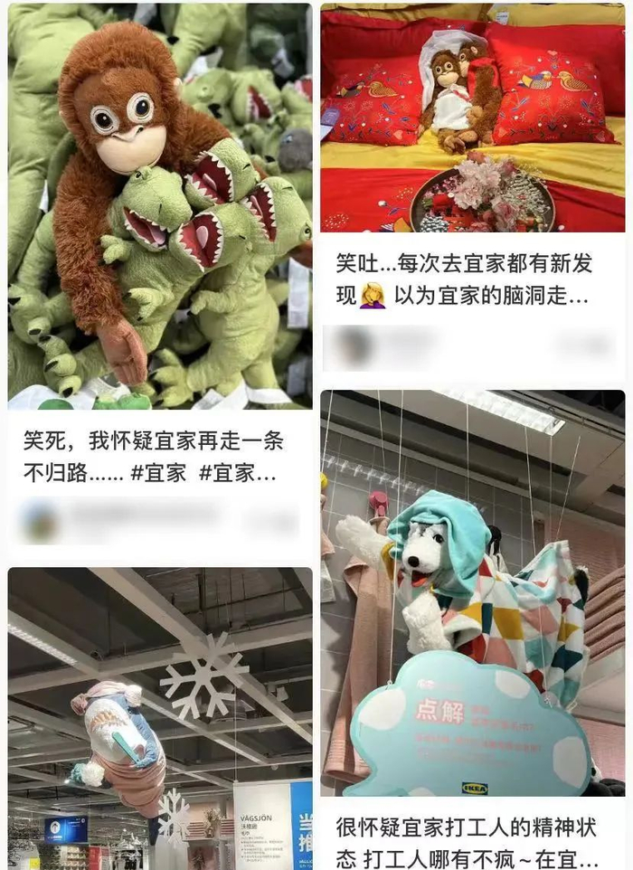 （图/小红书）