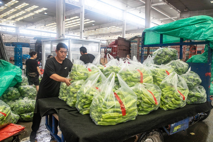 市场内各类蔬菜储备充足 。张洋 摄