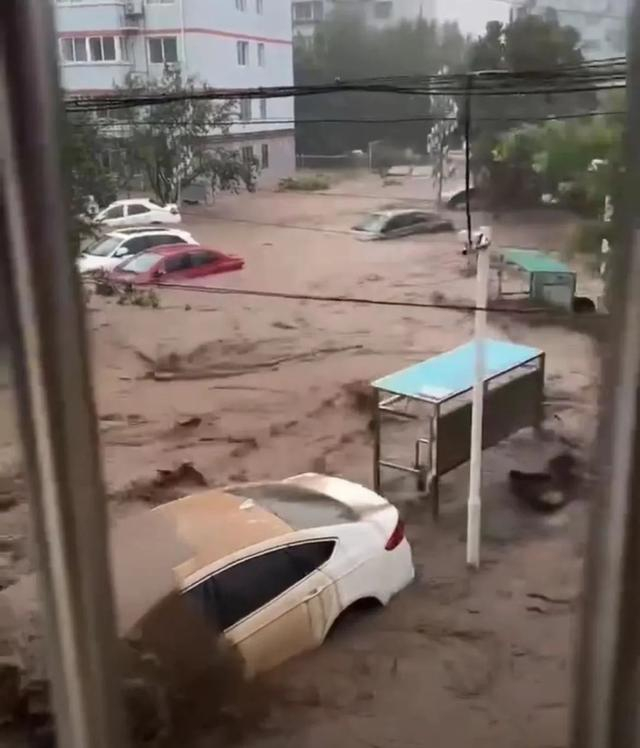 图片截取自网友视频