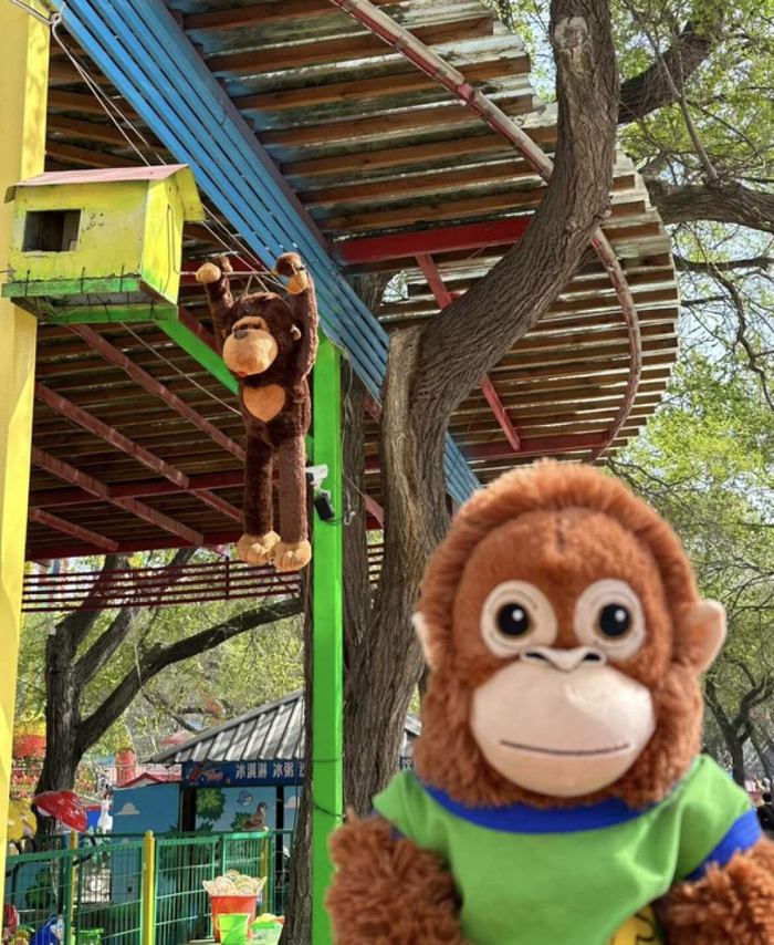 （图/小红书@刘星流星留猩，已获授权）