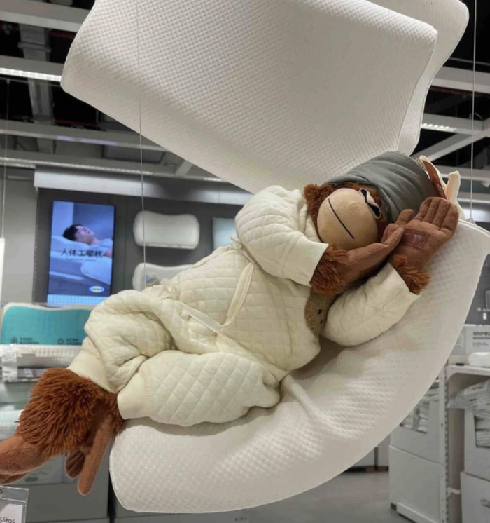 （图/小红书@生椰啵啵，已获授权）