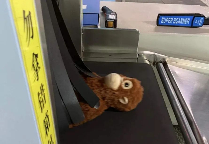 （图/小红书@线头女，已获授权）