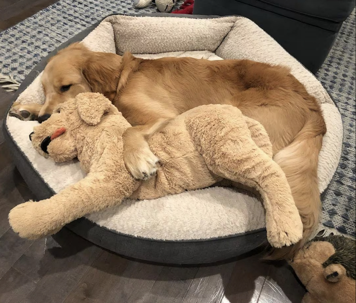 （图/宜家官网）