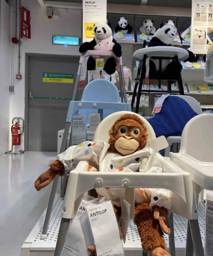 （图/小红书@生椰啵啵，已获授权）