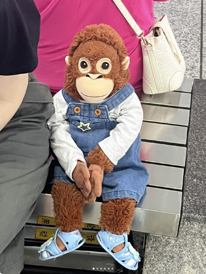 乖巧.jpg（图/小红书@等于慧子，已获授权）