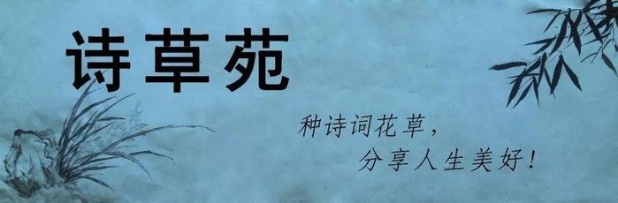 诗词分享浪淘沙夜游朐山外二首