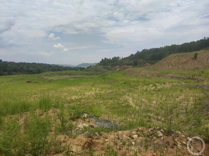 ▲耕地遭到破坏，地上长满了杂草。图片来源/上游新闻记者  沈度