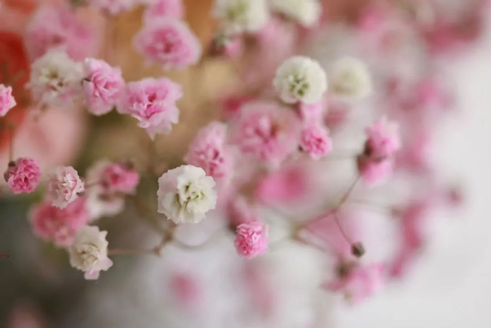 钢琴曲排行_新闻资讯(2)