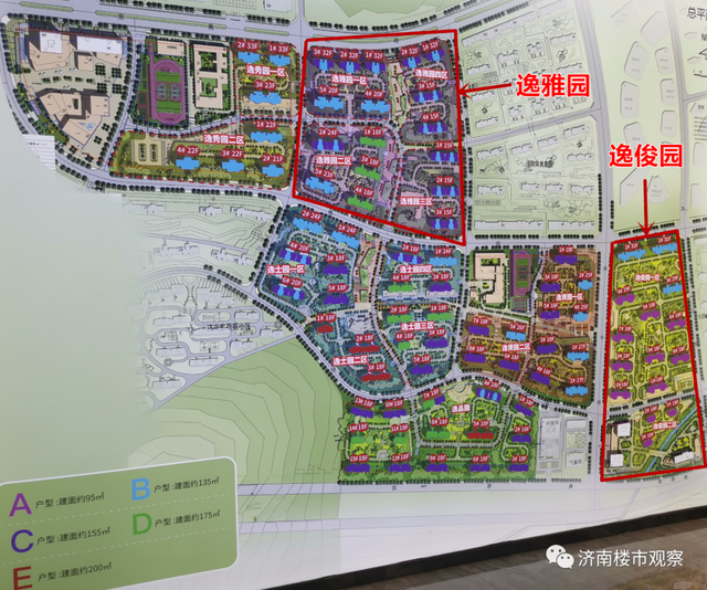 6000套房源冲击济南楼市！东城逸家大户型，是否值得等待？|济南市|山东省|逸雅园|雅园|实景_新浪新闻