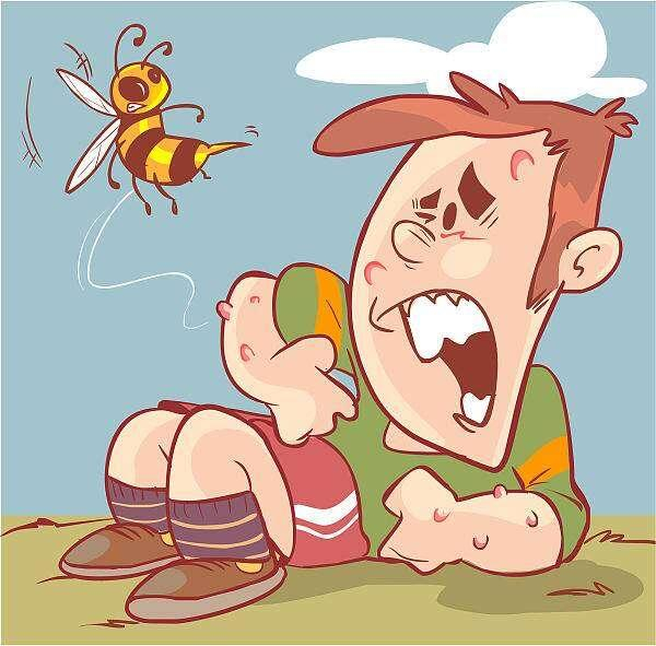 专家:被蜇之后牢记三步急救法…|接诊_新浪新闻