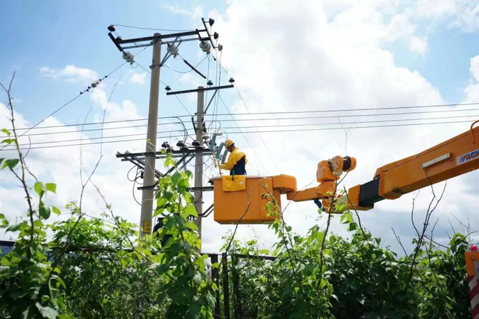 8月5日，在尚志市苇河镇10千伏西平线的线路抢修现场，国网尚志市供电公司抢修队员正在开展带电作业抢修。 王润泽 摄