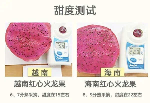 国产火龙果因为运输时间短，可以做到成熟采摘，品质和甜度也比进口的更好