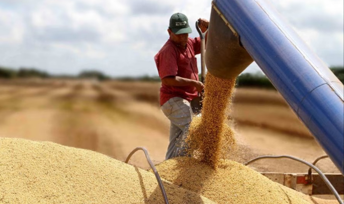 受旱灾影响 阿根廷今年前七个月豆粕出口量同比减少34%|阿根廷|豆粕