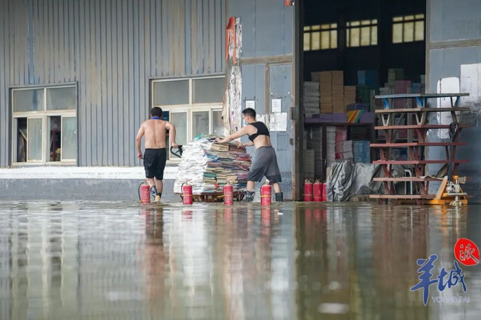 工作人员清理库房，运送书籍