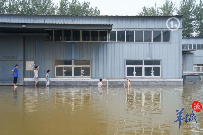 工作人员清理库房，运送书籍