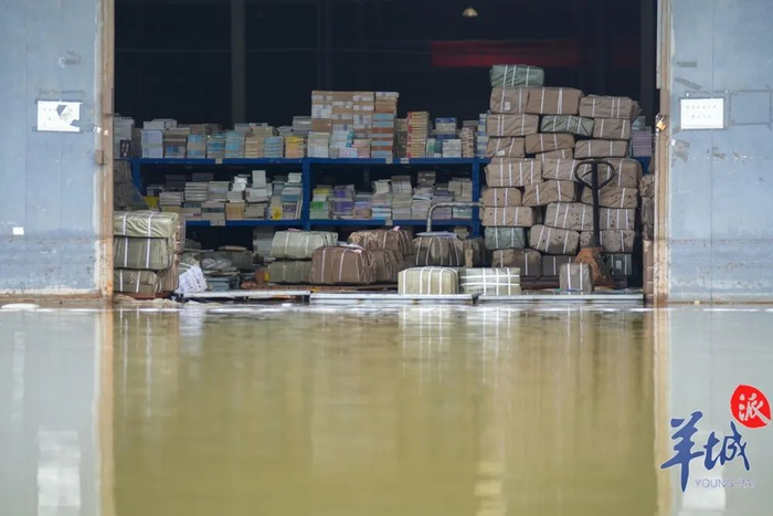 书库被淹，大量图书散落在水面上