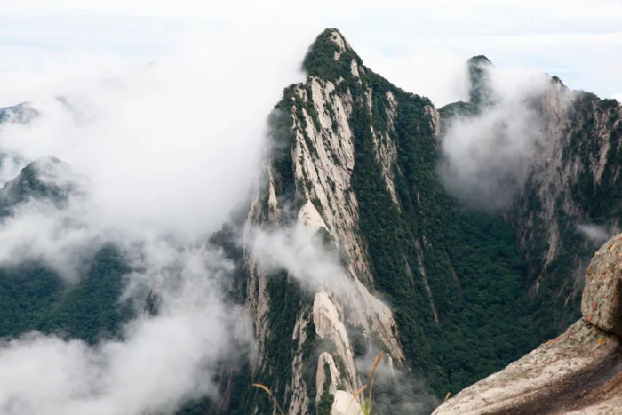 图片来源：视觉中国