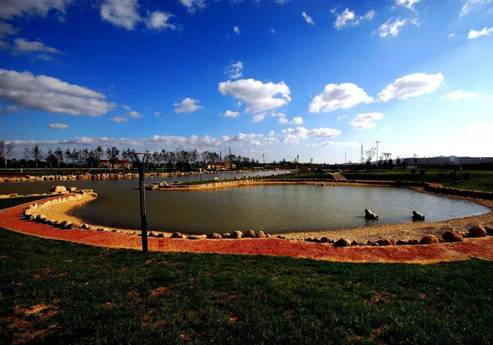 统筹推动河湖长制高质量发展丨威海文登区杜营河逐步实现美丽河湖向