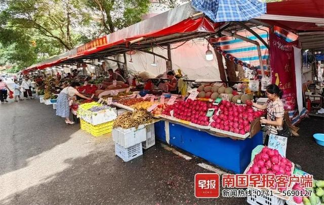 南宁官塘市场摊点，火龙果新鲜上市。本文图片均由南国早报全媒体记者 何定坚摄 