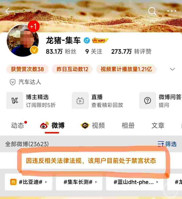 微博用户“龙猪-集车”目前被禁言。 图片来源/网络截图