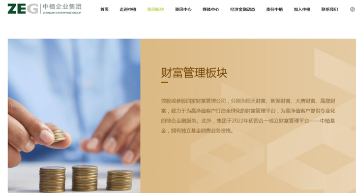 中植集团官网截图