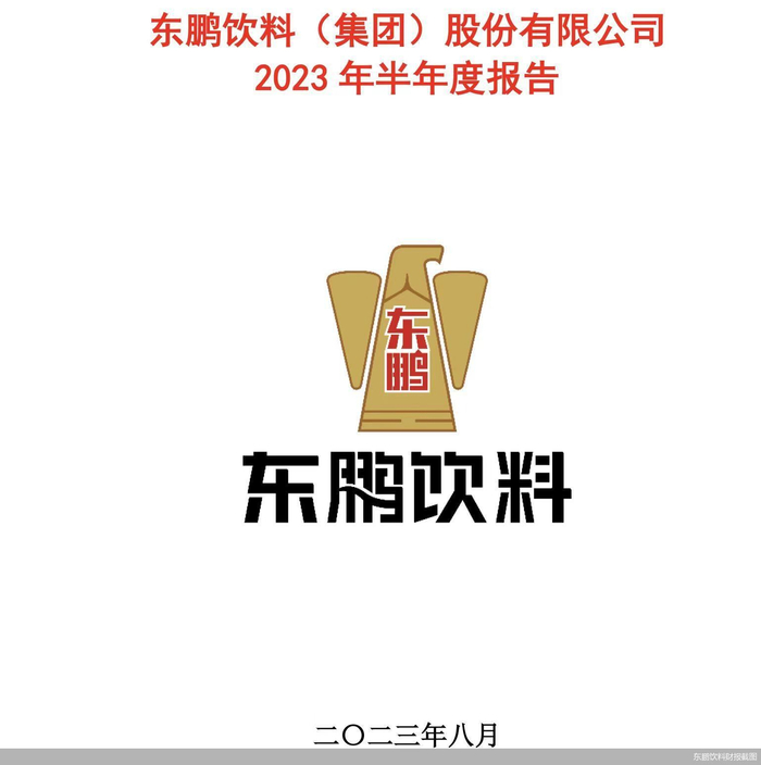 从广东走向全国，东鹏饮料意识到仅靠单一产品难行得通，并尝试通过多元化以缓解产品单一问题，但从目前来看效果甚微。