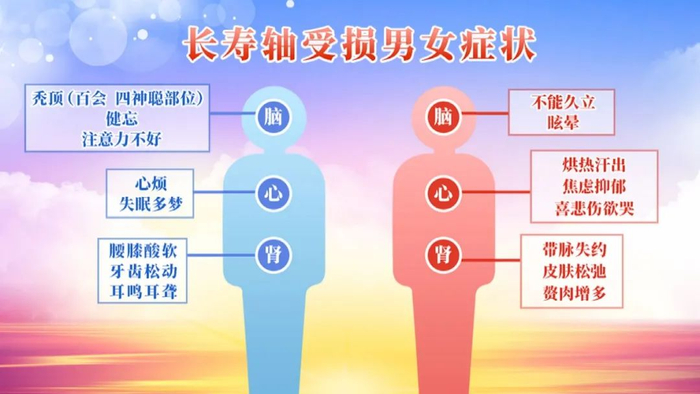 核桃加它一起吃,调神、养精、荣发、通便!早晚一碗,补足肾气人长寿|核桃|肾气|天癸_新浪新闻