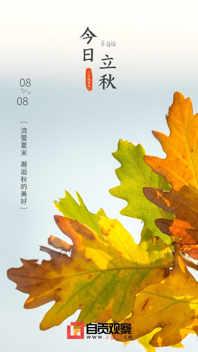 今日立秋:木叶动秋声 云天收夏色|饮食_新浪新闻