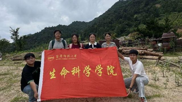 团队合影。受访者供图