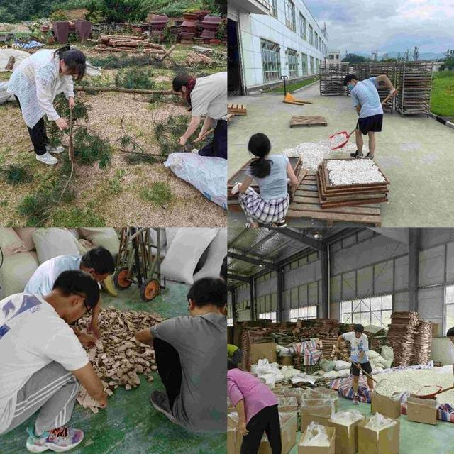学生们在选料、取料和装料。受访团队供图