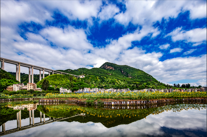 网络文化节摄影展散旦镇2023年水乡家园绿美散旦摄影大赛作品展