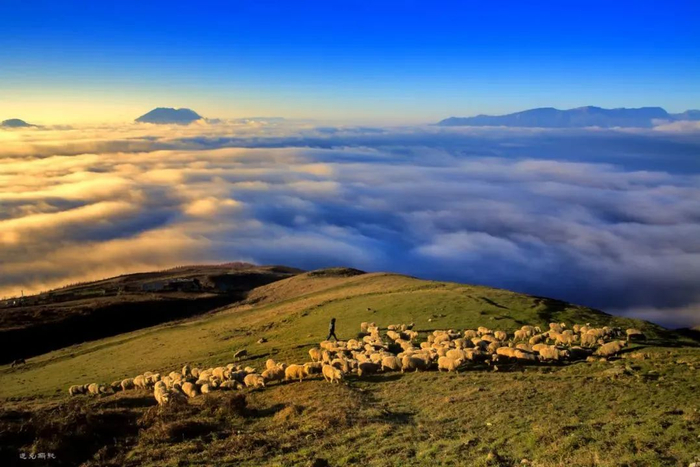 藏在云端的绝美草场 60 昭通马楠山|草原|昭通市_新浪新闻