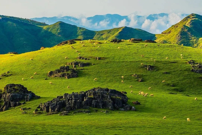藏在云端的绝美草场 60 昭通马楠山|草原|昭通市_新浪新闻