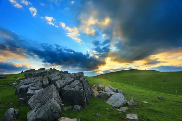 藏在云端的绝美草场 60 昭通马楠山|草原|昭通市_新浪新闻