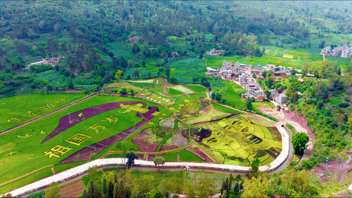 网络文化节摄影展散旦镇2023年水乡家园绿美散旦摄影大赛作品展