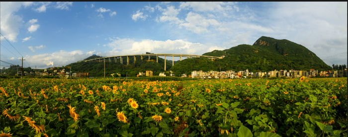 网络文化节摄影展散旦镇2023年水乡家园绿美散旦摄影大赛作品展