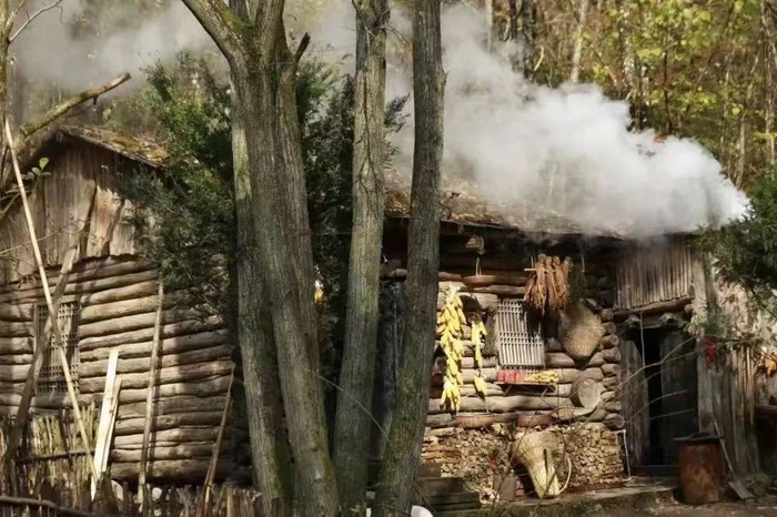 电影在秦岭中的实拍镜头