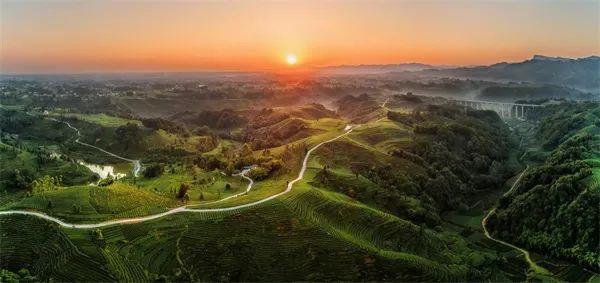 名山区红草坪:红草坪景区是国家3a级旅游景区,是以"花香茶海,骑游万古