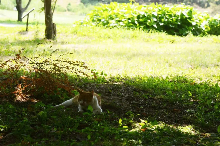 ▲图源：卡乐图片 宁颖 摄