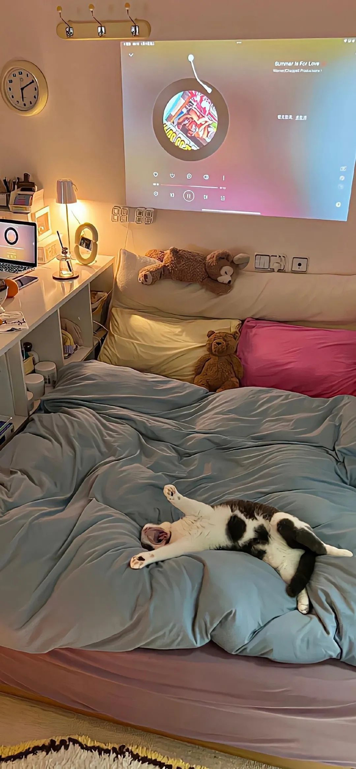 壁纸| 壁纸ins高级质感精选_新浪新闻