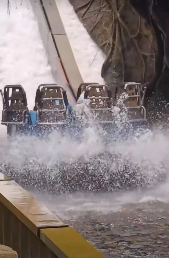 图片来源：上海迪士尼官方微信