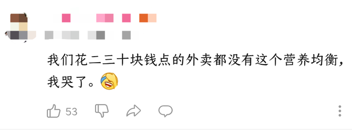 “做饭糊弄学”视频下的网友评论